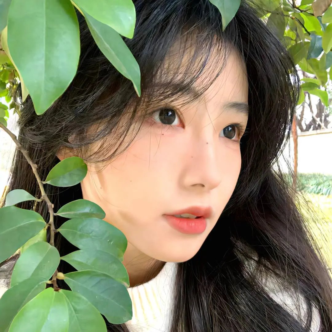 灰花